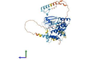 AlphaFold protein structure predicition of Mouse Recombinant Pnma3 Protein, UniprotID Q8JZW8 (PNMA3 Protein (AA 1-466) (His tag))