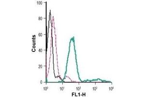 Cell surface detection of P2RX7 in live intact mouse BV-2 microglia cells: (black line) Cells. (P2RX7 antibody  (Extracellular) (FITC))
