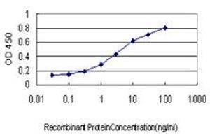 Detection limit for recombinant GST tagged T is approximately 0. (T Brachyury Protein (AA 222-320) antibody)