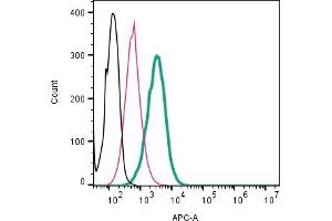 Cell surface detection of P2Y12 by direct flow cytometry in live intact mouse  microglia cells: + Rabbit IgG isotype control-APC (ABIN7582043).