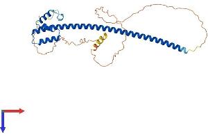 Protein Structure (PS) image for Testis Expressed 13B (TEX13B) (AA 1-312) protein (His tag) (ABIN7544937)