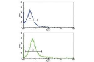 Flow Cytometry (FACS) image for anti-Protein tyrosine Phosphatase, Receptor Type, C (PTPRC) (AA 1245-1275) antibody (ABIN3032401)