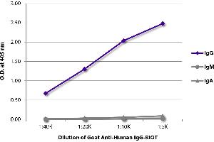 ELISA plate was coated with purified human IgG, IgM, and IgA. (Goat anti-Human IgG (Heavy Chain) Antibody (Biotin))
