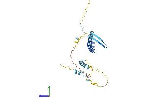 AlphaFold protein structure predicition of Human Recombinant NOL12 Protein, UniprotID Q9UGY1 (NOL12 Protein (AA 1-213) (His tag))