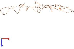 Keratin Associated Protein 10-5 (KRTAP10-5) (AA 1-271) protein (His tag)