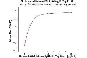 Immobilized Biotinylated Human FGL1, Avitag,Fc Tag (ABIN6923181,ABIN6938831) at 5 μg/mL (100 μL/well)on streptavidin  (2 μg/well) plate. (FGL1 Protein (AA 23-312) (AVI tag,Fc Tag,Biotin))