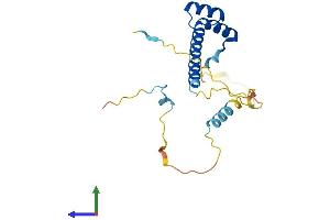 Protein Structure (PS) image for Ladybird Homeobox 2 (LBX2) (AA 1-195) protein (His tag) (ABIN7556285)