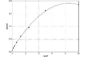 A typical standard curve (NAT8L ELISA Kit)
