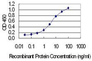 Detection limit for recombinant GST tagged CPNE3 is 0. (Copine III antibody  (AA 164-244))