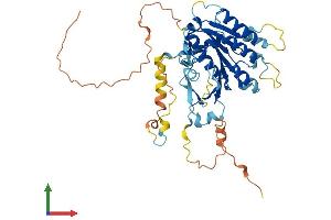 AlphaFold protein structure predicition of Human Recombinant ELP4 Protein, UniprotID Q96EB1 (ELP4 Protein (AA 1-424) (His tag))