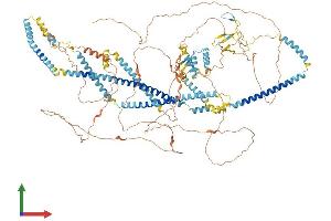 AlphaFold protein structure predicition of Human Recombinant C16orf96 Protein, UniprotID A6NNT2 (C16orf96 Protein (AA 1-1141) (His tag))