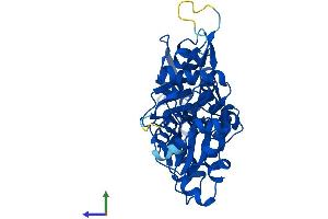 AlphaFold protein structure predicition of Mouse Recombinant Actb Protein, UniprotID P60710 (beta Actin Protein (AA 1-375) (His tag))