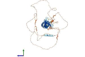 AlphaFold protein structure predicition of Human Recombinant JPH3 Protein, UniprotID Q8WXH2