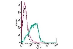 Cell surface detection of P2Y1 Receptor by direct flow cytometry in live intact human MEG-01 megakaryoblastic leukemia cells: (black line) Cells. (P2RY1 antibody  (Extracellular) (FITC))