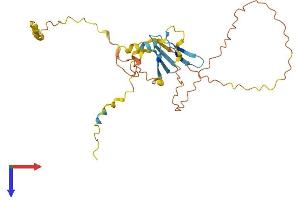 AlphaFold protein structure predicition of Human Recombinant PRR23B Protein, UniprotID Q6ZRT6 (PRR23B Protein (AA 1-265) (His tag))