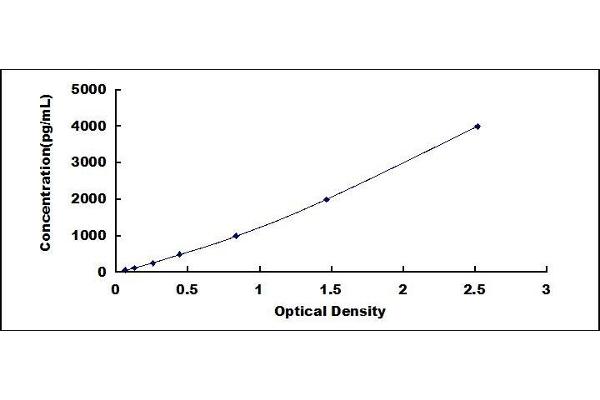ACP2 ELISA Kit