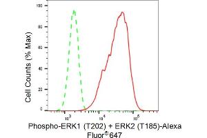 Flow cytometric analysis of Phospho-ERK1 (T202) + ERK2 (T185) expression in C2C12 cells using Phospho-ERK1 (T202) + ERK2 (T185) antibody (ABIN7799451), 1:(ABIN7798691).