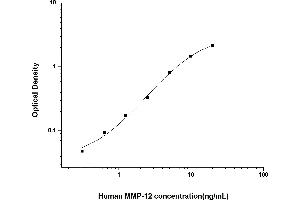 Typical standard curve (MMP12 ELISA Kit)