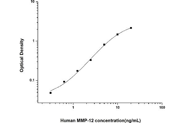 MMP12 ELISA Kit