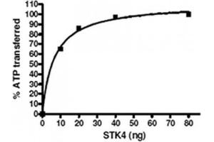 Activity Assay (AcA) image for Macrophage Stimulating 1 (Hepatocyte Growth Factor-Like) (MST1) (Active) protein (ABIN2669400) (MST1 Protein)