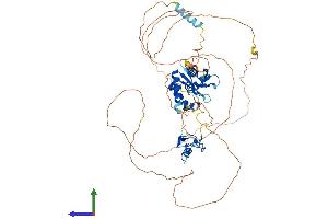 AlphaFold protein structure predicition of Mouse Recombinant Mex3b Protein, UniprotID Q69Z36