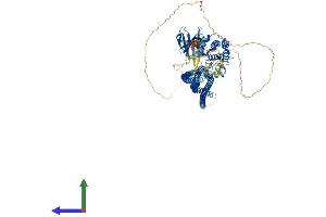 AlphaFold protein structure predicition of Mouse Recombinant Stk10 Protein, UniprotID O55098 (STK10-A Protein (AA 1-966) (His tag))