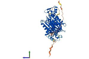 Protein Structure (PS) image for Protein Phosphatase 1F (PP2C Domain Containing) (PPM1F) (AA 1-454) protein (His tag) (ABIN7550864)