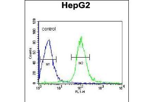 Flow cytometric analysis of HepG2 cells (right histogram) compared to a negative control cell (left histogram). (MGST2 antibody  (C-Term))