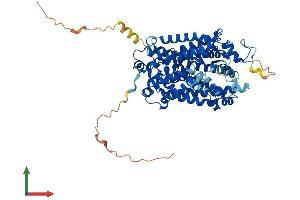 AlphaFold protein structure predicition of Human Recombinant SLC6A12 Protein, UniprotID P48065 (SLC6A12 Protein (AA 1-614) (His tag))