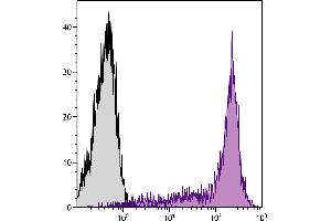 BALB/c mouse splenocytes were stained with Rat Anti-Mouse CD45RB-SPRD. (CD45RB antibody)