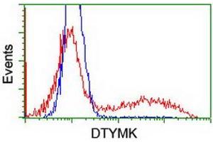 Image no. 6 for anti-Deoxythymidylate Kinase (Thymidylate Kinase) (DTYMK) antibody (ABIN1497918) (DTYMK antibody)