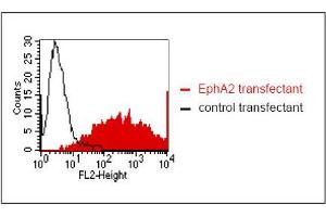 FACS analysis of BOSC23 cells using Kalpha-5H5. (EPH Receptor A2 antibody)