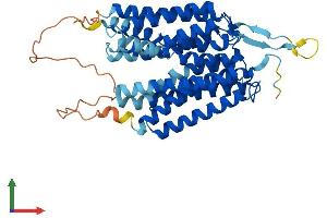 AlphaFold protein structure predicition of Human Recombinant SLC52A1 Protein, UniprotID Q9NWF4