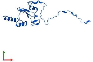 Protein Structure (PS) image for NADH Dehydrogenase (Ubiquinone) 1 alpha Subcomplex, 12 (NDUFA12) (AA 1-145) protein (His tag) (ABIN7558212)