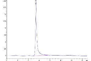 Size-exclusion chromatography-High Pressure Liquid Chromatography (SEC-HPLC) image for G Protein-Coupled Receptor, Family C, Group 5, Member D (GPRC5D) (AA 1-345) (Active) protein-VLP (Biotin) (ABIN7448170)