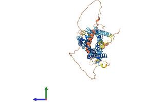 AlphaFold protein structure predicition of Mouse Recombinant Drd5 Protein, UniprotID Q8BLD9