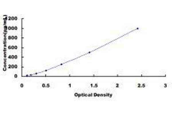 CD31 ELISA Kit