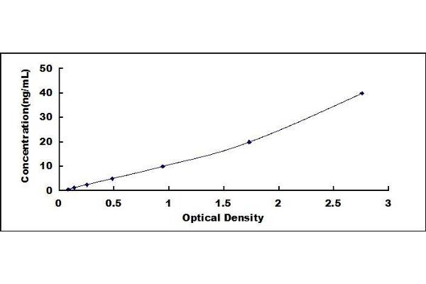 Collagen Type I ELISA Kit