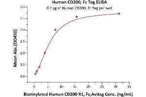 Immobilized Human CD200, Fc Tag (ABIN2180725,ABIN2180724) at 2 μg/mL (100 μL/well) can bind Biotinylated Human CD200 R1, Fc,Avitag (ABIN5674587,ABIN6253680) with a linear range of 0.
