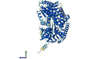 Protein Structure (PS) image for DEXH (Asp-Glu-X-His) Box Polypeptide 58 (DHX58) (AA 1-678) protein (His tag) (ABIN7553707)
