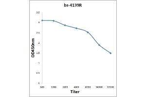 ELISA image for anti-Nuclear Factor of kappa Light Polypeptide Gene Enhancer in B-Cells Inhibitor, epsilon (NFKBIE) (AA 165-270) antibody (ABIN1386753)