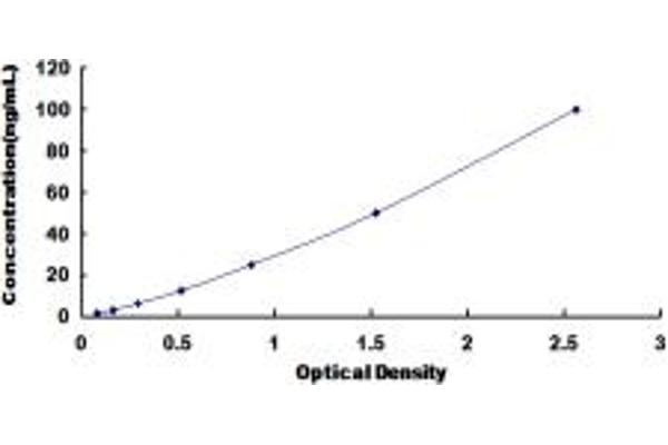 Ubiquilin 2 ELISA Kit
