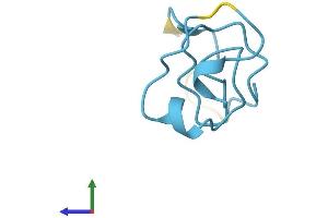 Protein Structure (PS) image for Metallothionein 1B (MT1B) (AA 1-61) protein (Fc Tag) (ABIN7549545)