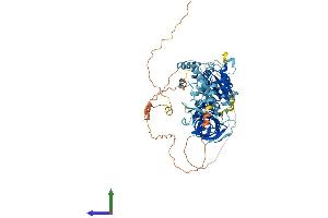 Protein Structure (PS) image for HBS1-Like (HBS1L) (AA 1-684) protein (His tag) (ABIN7548216)