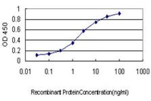 Detection limit for recombinant GST tagged TUBB4B is approximately 0. (TUBB2C antibody  (AA 1-445))