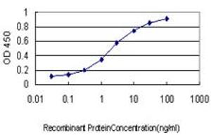 Detection limit for recombinant GST tagged TUBB4B is approximately 0.