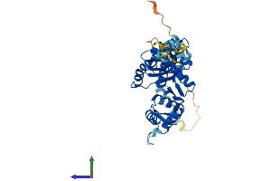 AlphaFold protein structure predicition of Human Recombinant STN1 Protein, UniprotID Q9H668 (OBFC1 Protein (AA 1-368) (His tag))