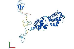Protein Structure (PS) image for General Transcription Factor IIB (GTF2B) (AA 1-316) protein (His tag) (ABIN7544371)
