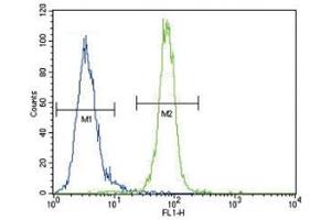 Anti-AKT antibody flow cytometric analysis of MDA-MB435 cells (right histogram) compared to a negative control (left histogram). (AKT1 antibody  (AA 49-76))