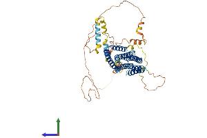 Protein Structure (PS) image for Family with Sequence Similarity 114, Member A2 (FAM114A2) (AA 1-497) protein (His tag) (ABIN7559892)